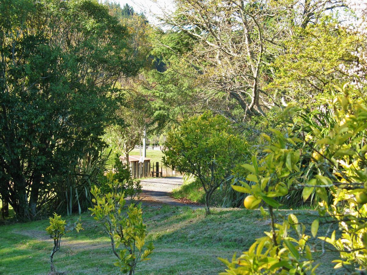 Villa Corru Gate Mapua Esterno foto